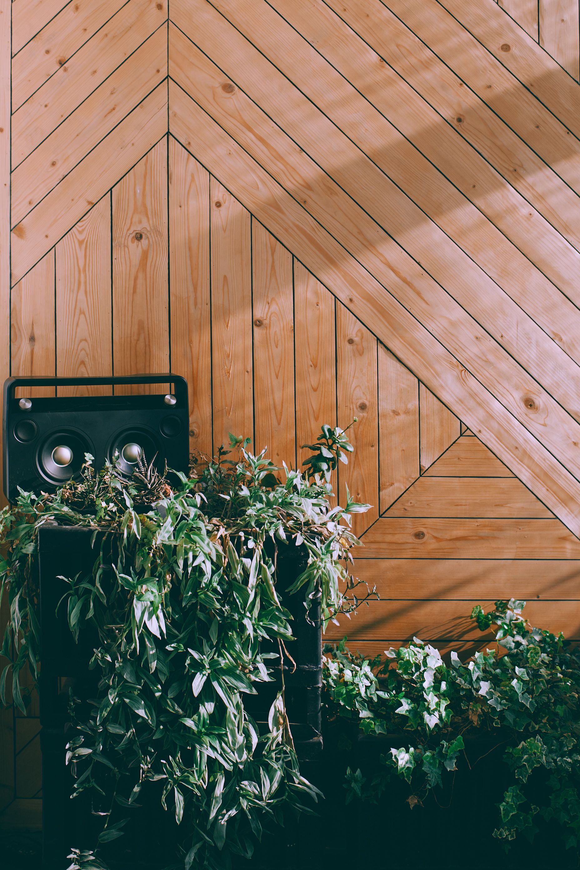 Acoustic panels installation