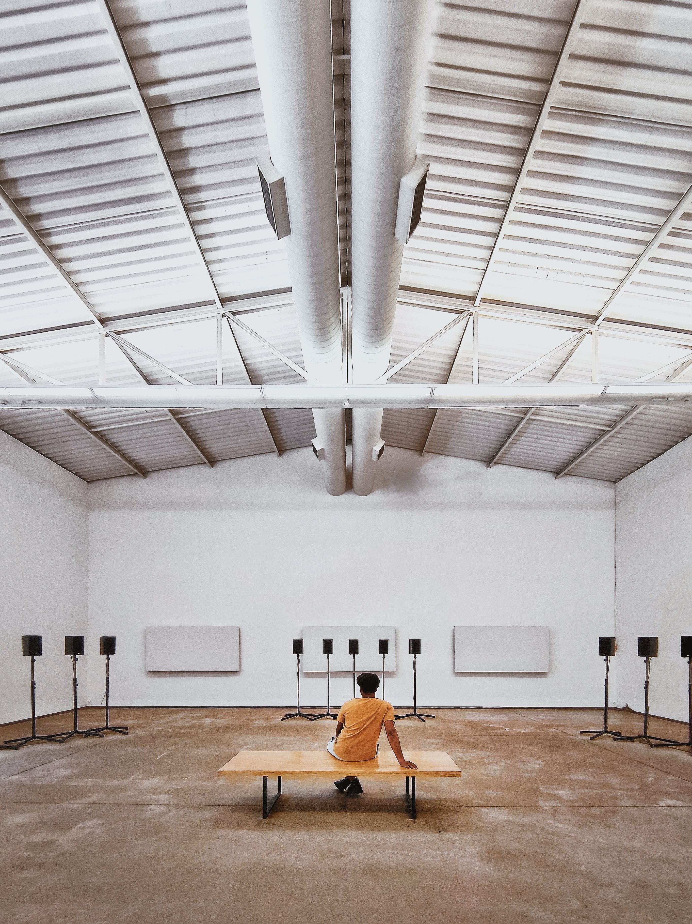 Professional acoustic work